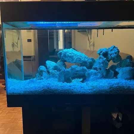 Red Sun Acquarium
